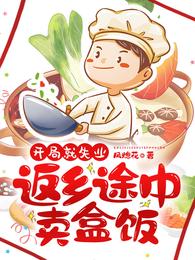 开局就失业:返乡途中卖盒饭